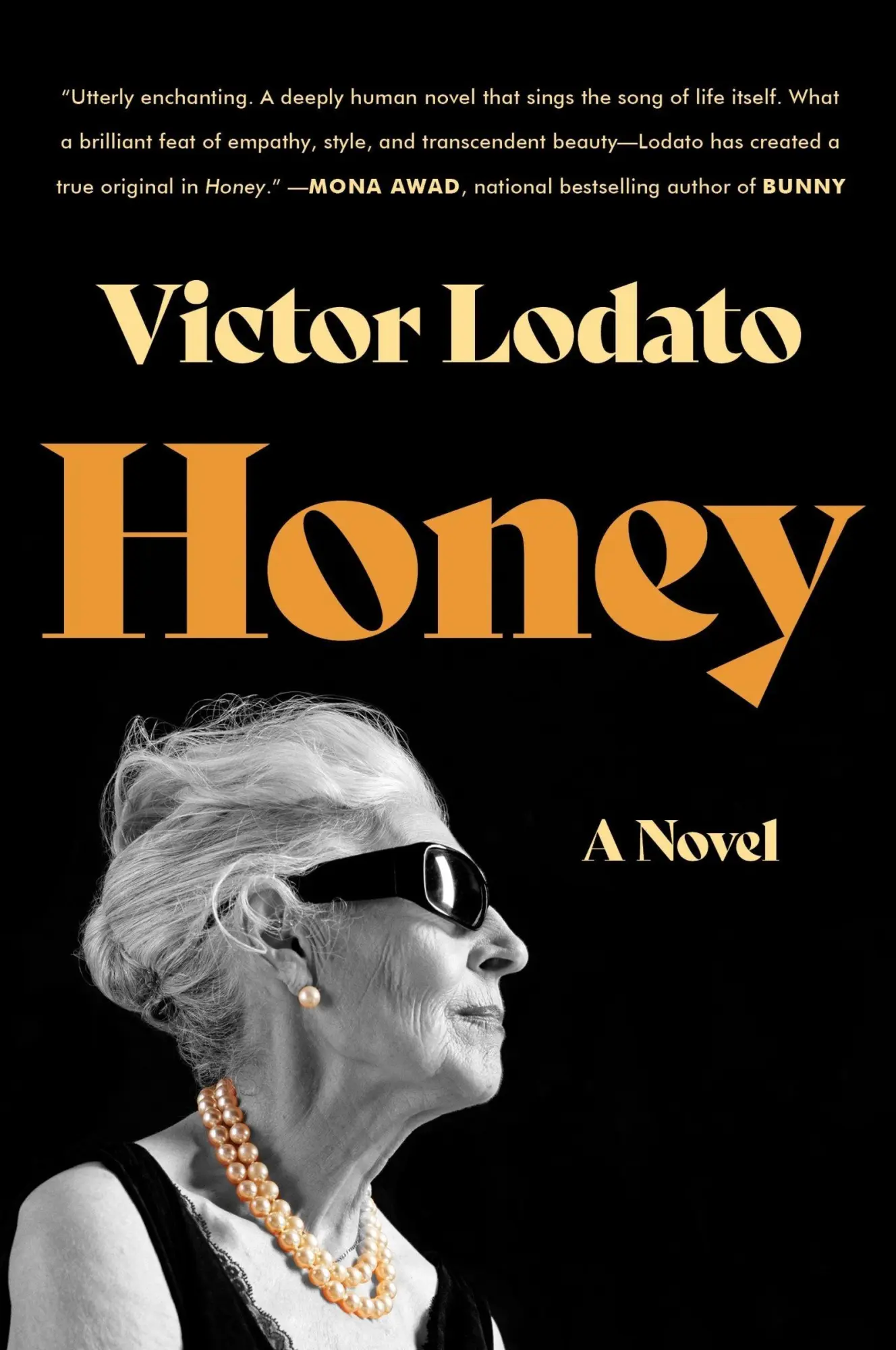 Cover: 9780063309630 | Honey | Victor Lodato | Taschenbuch | 400 S. | Englisch | 2025